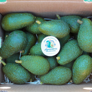 Aguacate Hass de Valencia