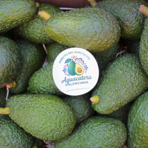 Aguacate Hass de Valencia