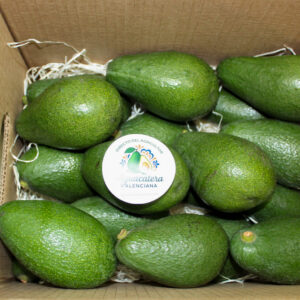 Aguacate Fuerte de Valencia